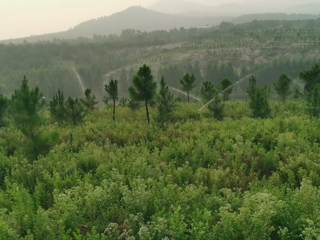 微信图片_2025-12-23_184627_354