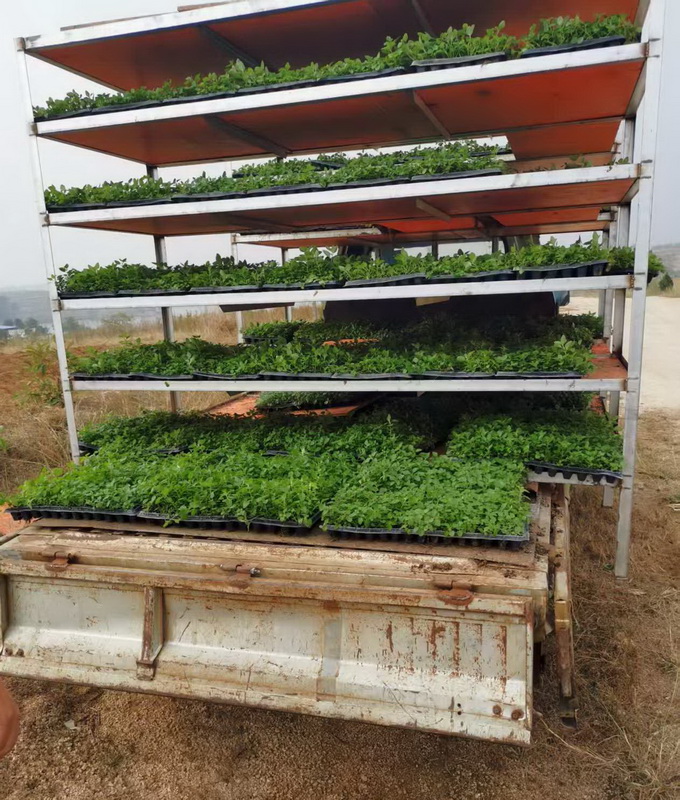 微信图片_2025-12-23_184048_905