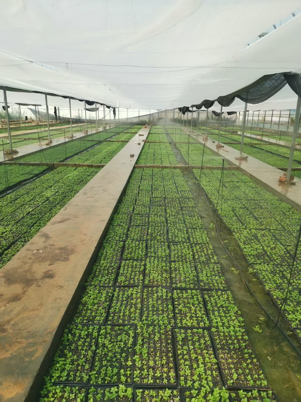 微信图片_2025-12-23_184113_034