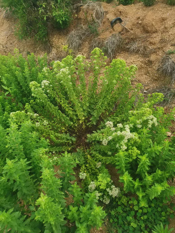 微信图片_2025-12-23_184538_858