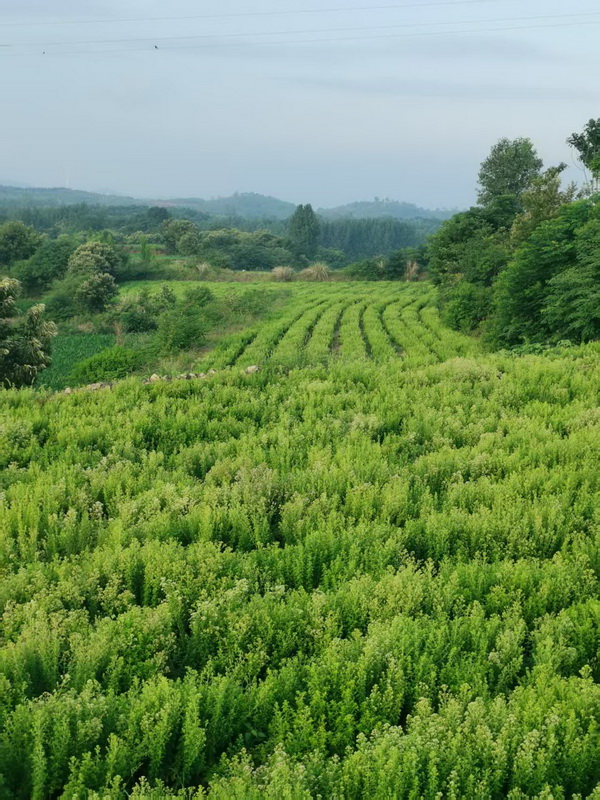 微信图片_2025-12-23_184614_850