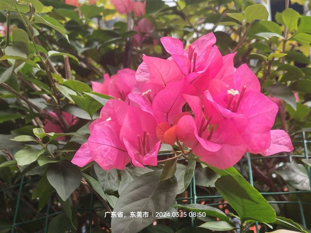 远去的烽火硝烟