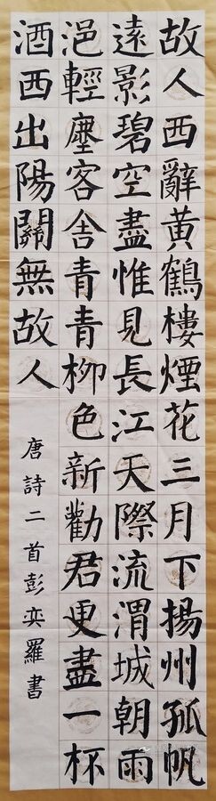 彭奕罗的书法作品——《少儿画苑》国际少儿书画大赛作品赏析